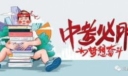 郑恺收入爆料最新消息,揭秘明星真实收入背后的惊人数字